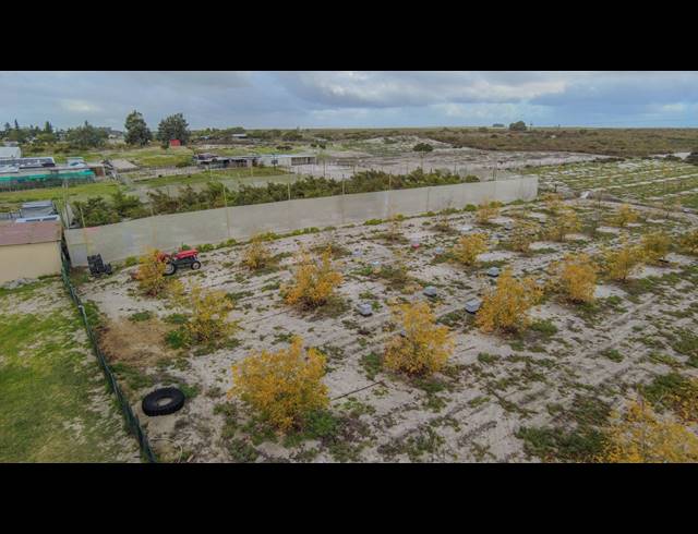 43HA FARM FOR SALE IN HARTEBEESFONTEIN